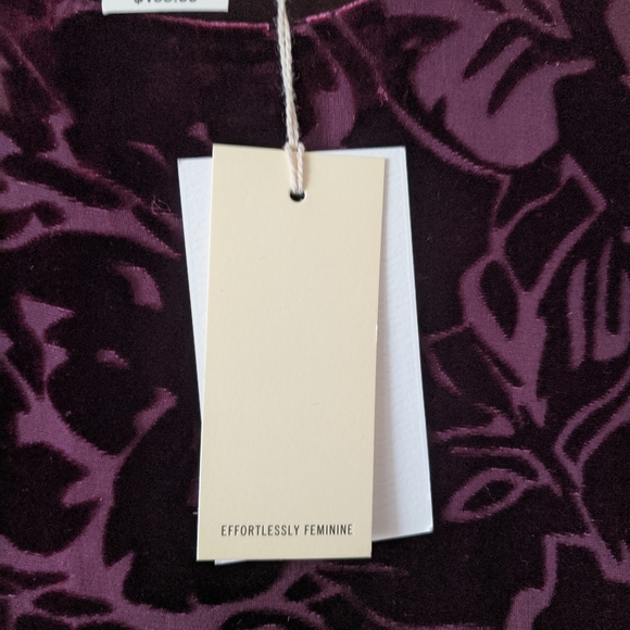 Wilfred Cranberry Velvet Floral Bouchette Dress NWT XS - Picture 6 of 8